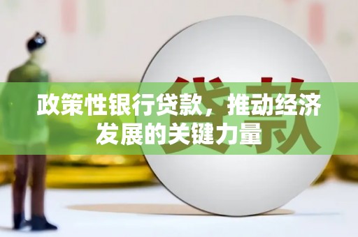 河池政策性银行贷款，推动经济发展的关键力量