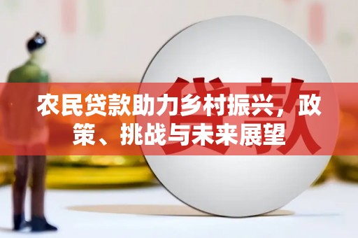 河池农民贷款助力乡村振兴，政策、挑战与未来展望
