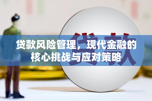 河池贷款风险管理，现代金融的核心挑战与应对策略