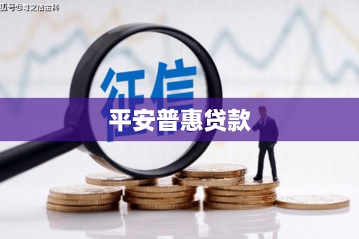 河池平安普惠贷款