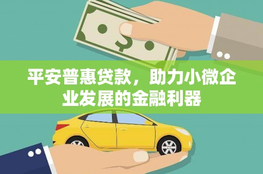 河池平安普惠贷款，助力小微企业发展的金融利器
