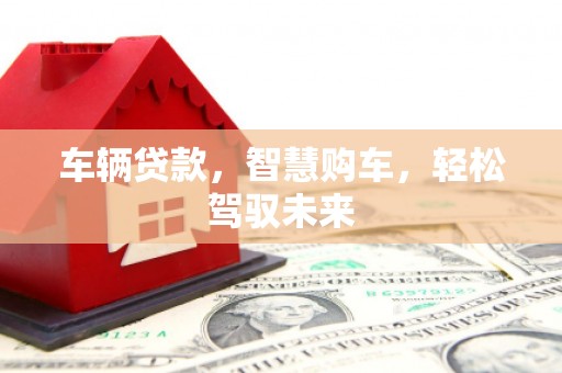河池车辆贷款，智慧购车，轻松驾驭未来