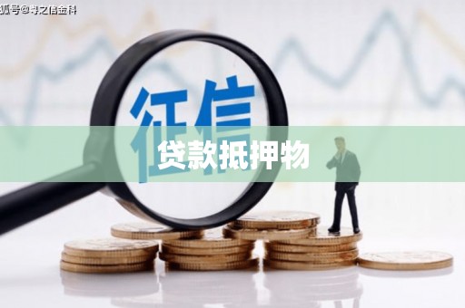 河池贷款抵押物
