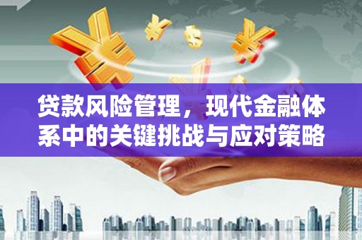 河池贷款风险管理，现代金融体系中的关键挑战与应对策略