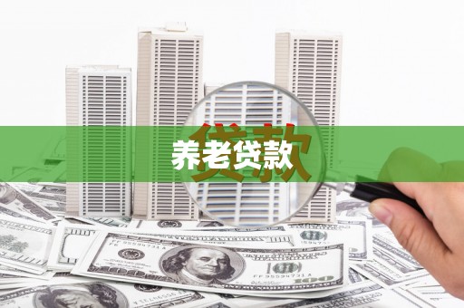 河池养老贷款