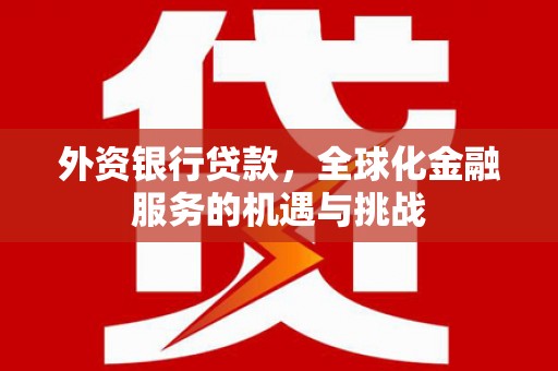河池外资银行贷款，全球化金融服务的机遇与挑战