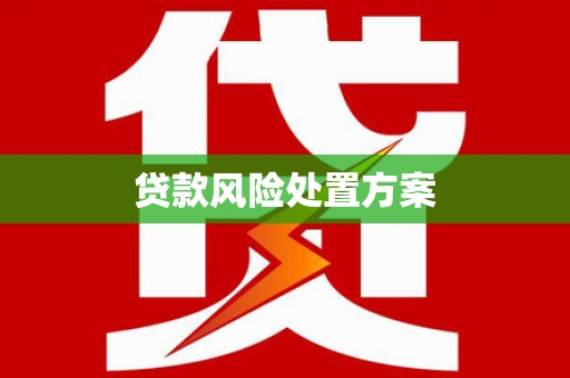 河池贷款风险处置方案
