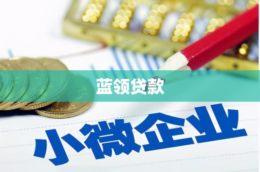 河池蓝领贷款