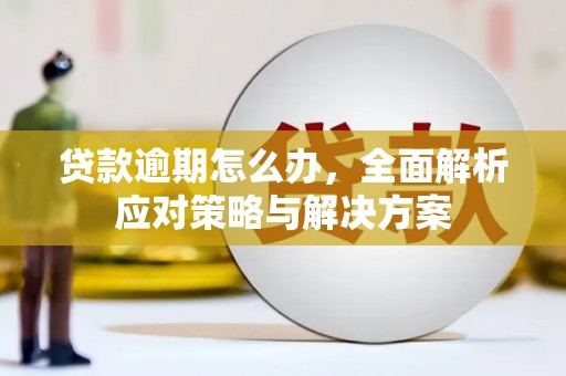 河池贷款逾期怎么办，全面解析应对策略与解决方案