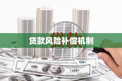河池贷款风险补偿机制