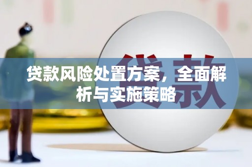 河池贷款风险处置方案，全面解析与实施策略