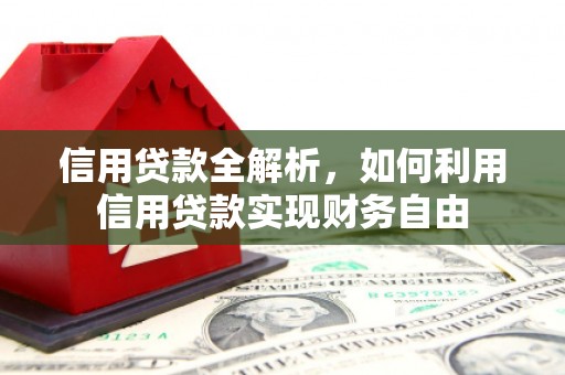 河池信用贷款全解析，如何利用信用贷款实现财务自由