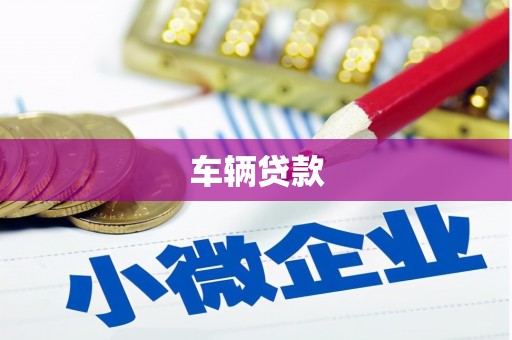 河池车辆贷款