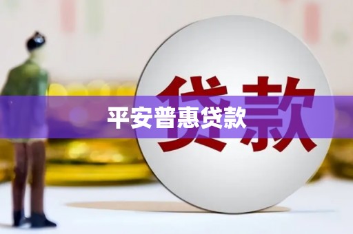 河池平安普惠贷款